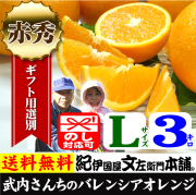 バレンシアオレンジ 和歌山みかんドットコム