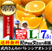 2箱セット 贈答用 国産バレンシアオレンジ L 4kg 和歌山県有田みかん バレンシアオレンジ 和歌山みかんドットコム