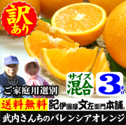 武内さんちのバレンシアオレンジ