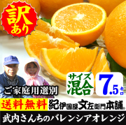 武内　バレンシア