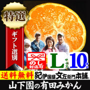 有田みかん 10キロ箱 和歌山みかんドットコム