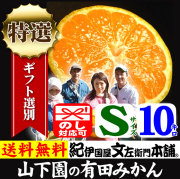 有田みかん 10キロ箱 和歌山みかんドットコム