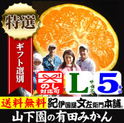 みかん　山下