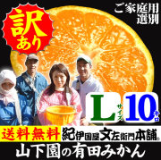 みかん　山下