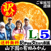 みかん　山下