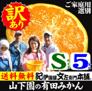 みかん　山下