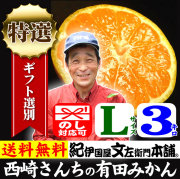 みかん　西崎