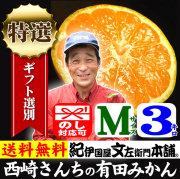 みかん　西崎