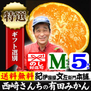 みかん　西崎