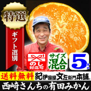 みかん　西崎