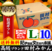 有田みかん 10キロ箱 和歌山みかんドットコム
