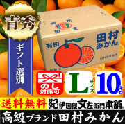 有田みかん 10キロ箱 和歌山みかんドットコム