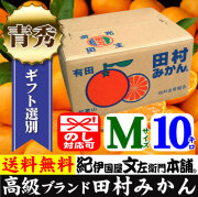 有田みかんの最高ブランド「田村みかん」特選ギフト品【Sサイズ】10kg