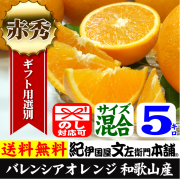 バレンシアオレンジ 和歌山みかんドットコム