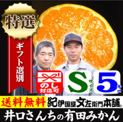 みかん　井口
