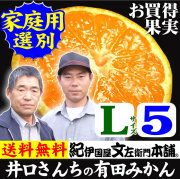 みかん　井口