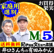 みかん　井口