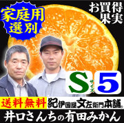みかん　井口