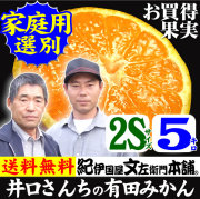 みかん　井口