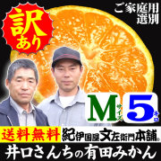 みかん　井口