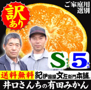 みかん　井口