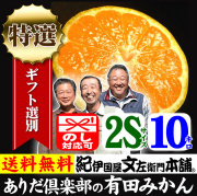 有田みかん 10キロ箱 和歌山みかんドットコム