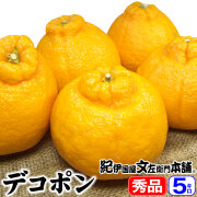 【順次出荷】デコ５キロ【秀品】（不知火・しらぬい・しらぬひ・通称デコポン）【送料無料】春みかん 和歌山県有田産／０～２営業日で順次出荷中