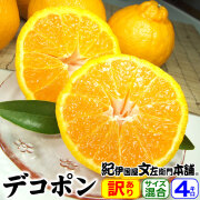【順次出荷】春みかん デコ【４ｋｇ】デコポンと同じ品種の不知火（しらぬい）　紀州有田産の春みかん　ちょっと傷あるご家庭用果実【送料無料】／０～５営業日で順次出荷中