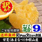 甘夏