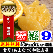甘夏