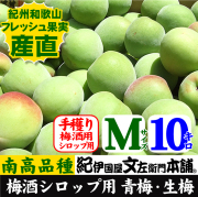 青梅（南高梅）