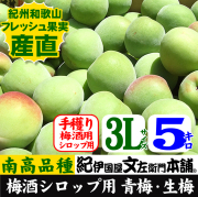 青梅
