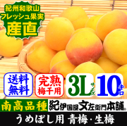青梅　完熟