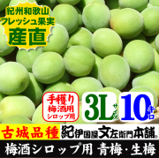 青梅　古城