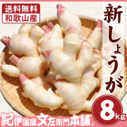 新鮮な生姜 フレッシュ新しょうが4kg入和歌山県産 [送料無料]高品質の新生姜を