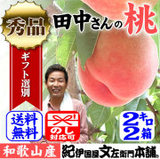 田中　桃
