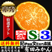 吉川産有田みかん