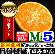 吉川産有田みかん