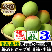 【予約販売】　厳選南高梅 フレッシュ青梅(生梅)【 緑 】３ｋｇ 梅干のブランド 厳選 朝採り手選別　青梅(生梅)　南高梅【梅酒用・梅干用】【送料無料】サイズおまかせ/6月上旬から順次発送予定