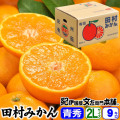 【予約販売】田村みかん・ギフト品 青秀【ＬＬサイズ】9kg(約60果前後) 有田みかんの最高ブランド 紀州 和歌山 高級みかん【送料無料】／11月下旬頃から順次発送予定