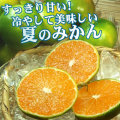 グリーンハウスみかん