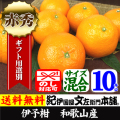 伊予柑 いよかん １０kg【送料無料】秀品 サイズ混合 和歌山県 紀州 有田産／０～３営業日で順次出荷中【お届け日指定不可】