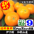 マルス　伊予柑