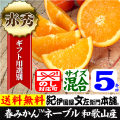 マルス　ネーブル