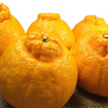 デコポン
