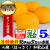 八朔