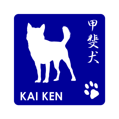 甲斐Ｓ
