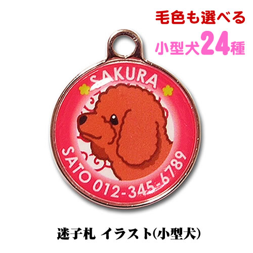 迷子札 イラスト 毛色も選べる小型犬24犬種 トイプードル チワワ ダックスフンド パグ 犬 グッズ 雑貨