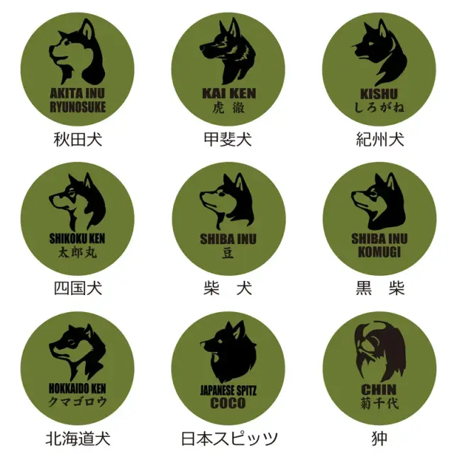 缶バッジ　和犬キリリ顔