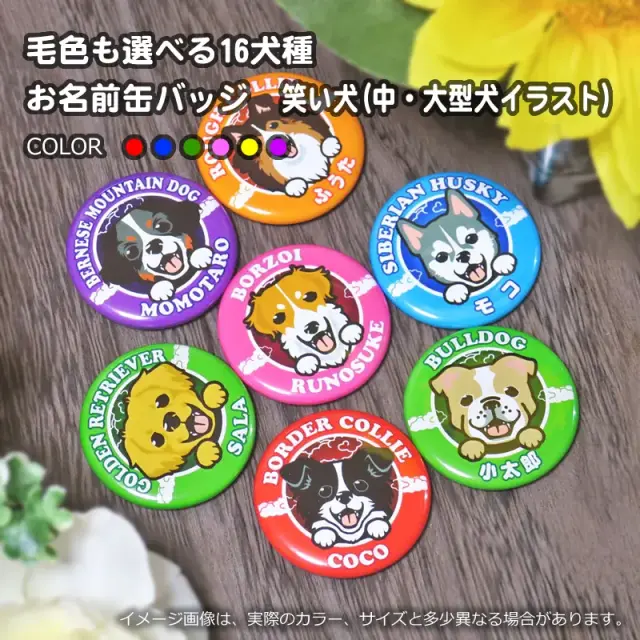 缶バッジ　笑い犬　中・大型犬
